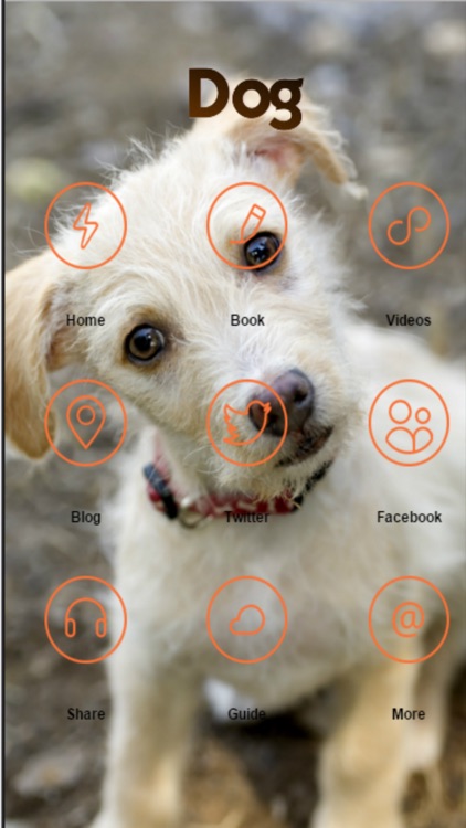 Dog Training - Learn How to House Train a Dog