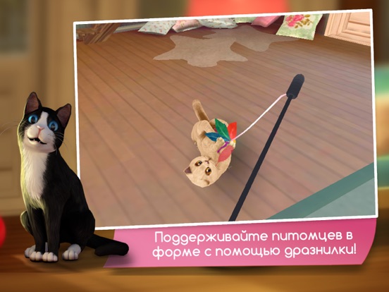 Игра CatHotel - Заботьтесь о милых