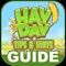 The best Guide for Hay Day