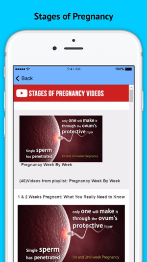 Stages Of Pregnancy - Week by Week(圖5)-速報App