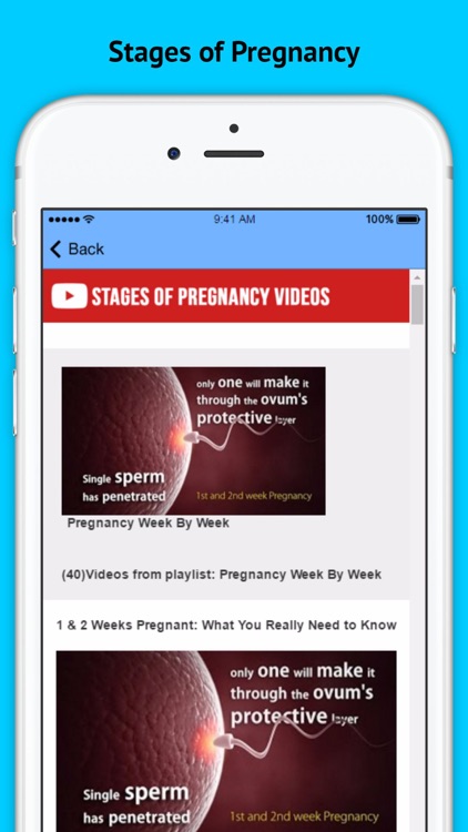 Stages Of Pregnancy - Week by Week screenshot-4