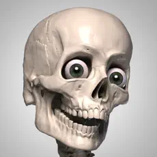 Application Skelly - Poseable Anatomy Model for Artists 4+