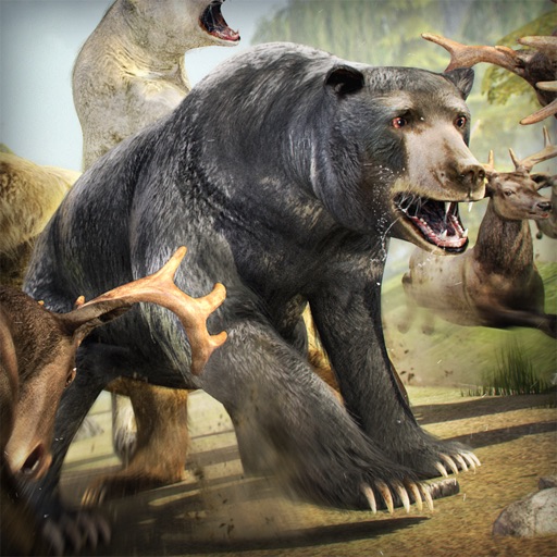 Bear Simulator 2016 . Wild Bears Simulation Games For Kids iOS App