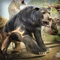 Bear Simulator 2016 . Wild Bears Simulation Games For Kids