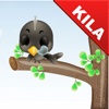 Kila: The Smart Crow