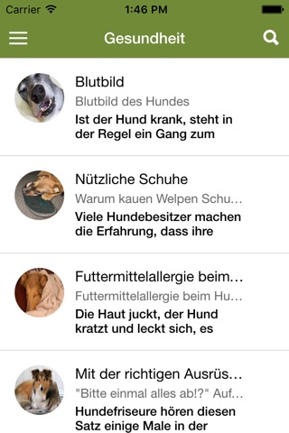 Hundewissen screenshot 2