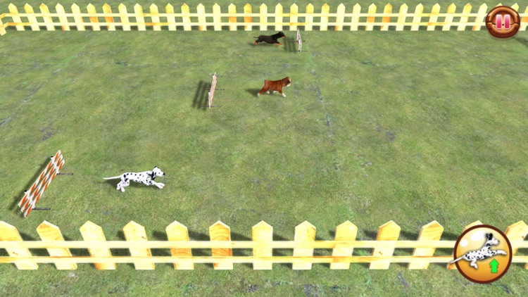 Play with your Dog: Dalmatian screenshot-3