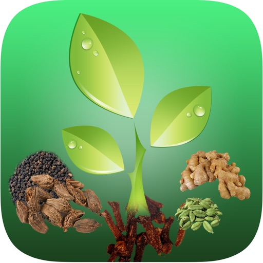 Natural Ayurvedic Remedies Herb icon
