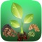 Ayurvedic Home Remedies is unique collection of best known remedies for diseases
