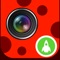 LadyBug Filter Cam