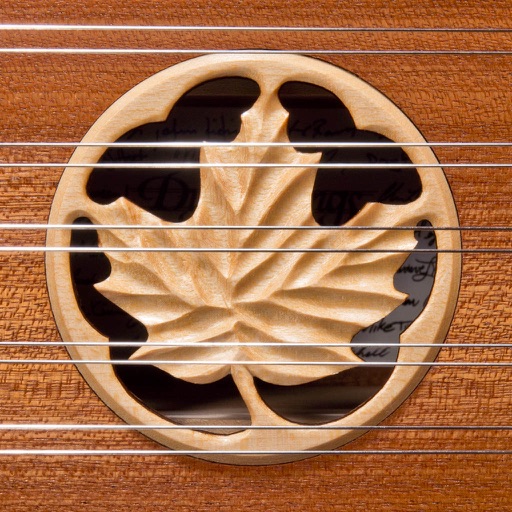 D550 Chromatic Hammered Dulcimer - Dusty Strings Edition