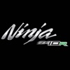 Ninja ZX-10R