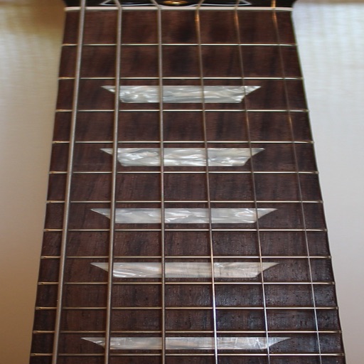 Electric Guitar Fretboard Addict FREE