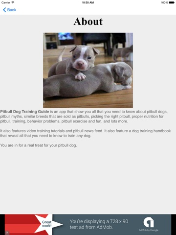Pitbull Dog Training Guide HD screenshot 4