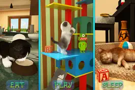 Game screenshot Cute Cat Adventure 2016 apk