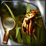 Get Treasure Island - The Golden Bug - Extended Edition - A Hidden Object Adventure for iOS, iPhone, iPad Aso Report