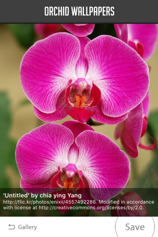 Orchid Wallpapers screenshot 4