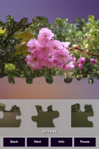 Flowers Puzzles screenshot 2