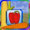 Vegetables Magnet Board Preschool Learning Experience Game