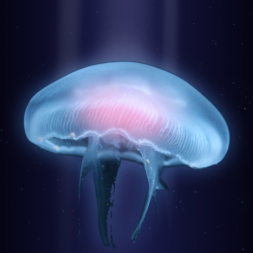 Glow PRO - Full Underwater Jellyfish Version icon