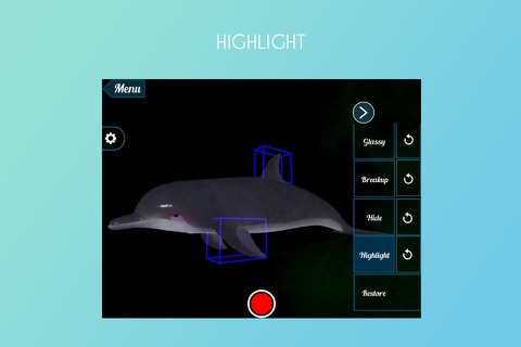 Dolphin 3D screenshot 3