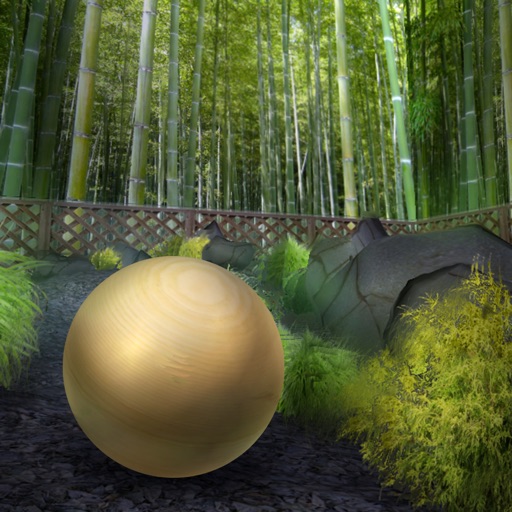 Rolling Ball Quest 3D icon