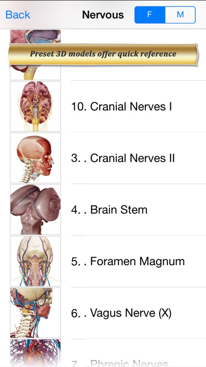 Brain and Nervous Anatomy Atlas: Essential Reference for Students and Healthcare Professionals