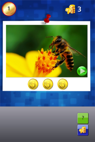 Animals Sound Quiz screenshot 2