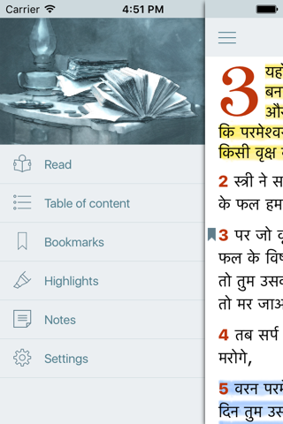Hindi Bible (Indian Holy Bible) screenshot 3