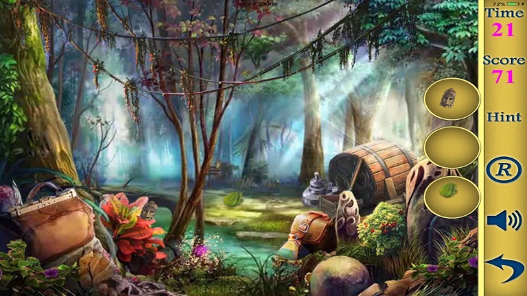 【图】Hidden Objects Of A Quess The Couple(截图1)