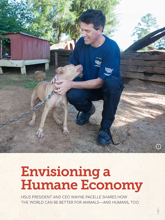 All Animals Magazine