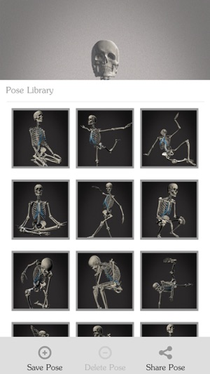 Skelly - Poseable Anatomy Model for Artists(圖4)-速報App