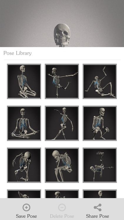 Skelly - Poseable Anatomy Model for Artists screenshot-3