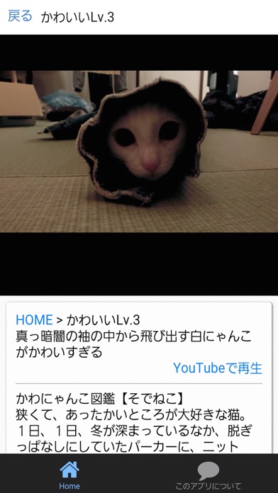 袖猫 そでねこ 動画まとめ By Yoshihiro Kawamoto Ios アメリカ合衆国 Searchman アプリマーケットデータ