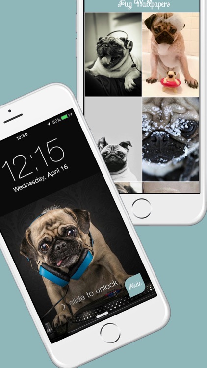 Pug Life HD - PawPapers screenshot-3