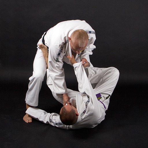 Brazilian Jiu-Jitsu (BJJ) - The Best Martial Arts For a Real Street Fight