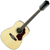 12-String Guitar Tuner Simple