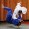 Learn all about Judo training and fighting techniques with this collection of 330 video lessons
