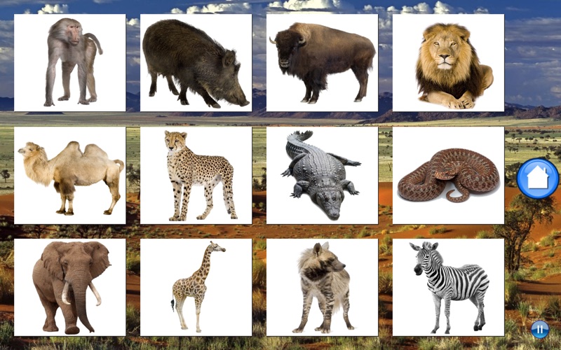 African Animals thumbnail 3