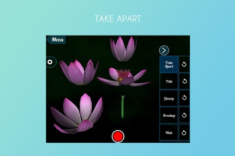 Lotus 3D screenshot 2