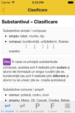 Română10 Gramatică screenshot 3