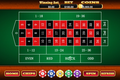 A Casino Nights Roulette Experience screenshot 2