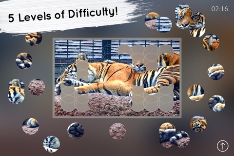 Venn Tigers: Overlapping Jigsaw Puzzles screenshot 2