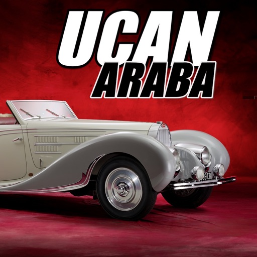 Uçan Araba icon