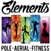 ElementsPoleAerialFitness