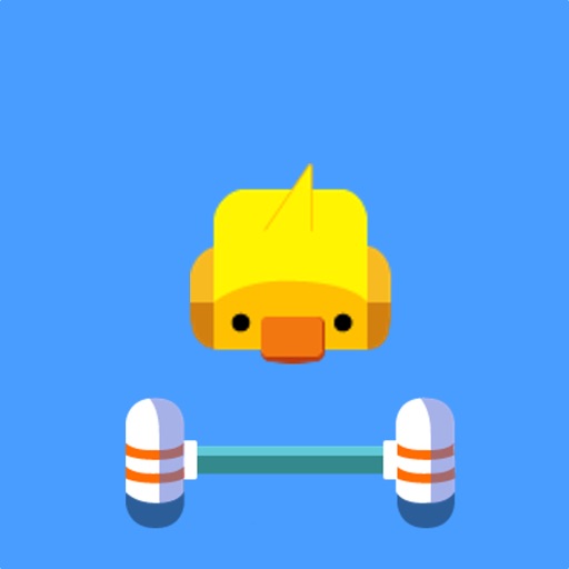 Save The Duck iOS App