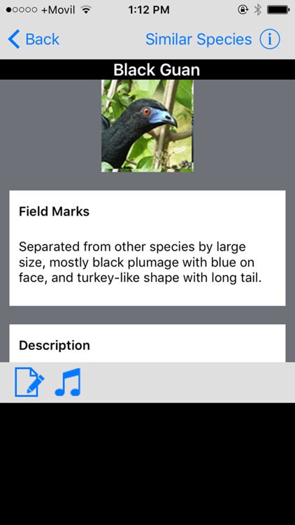 Costa Rica Birds Field Guide Basic