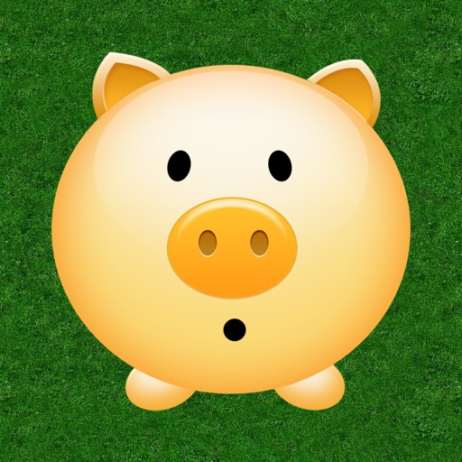 Catch the Piggy iOS App