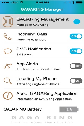 GAGARING Manager screenshot 3