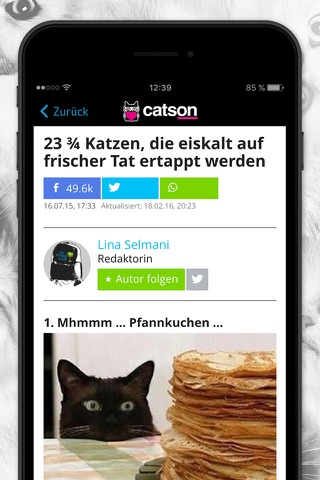catson screenshot 2